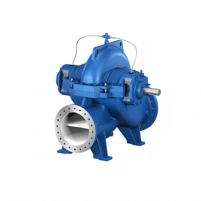 Pompa casing volute terbelah aksial KSB - Pengenalan seri produk Omega dan RDLO