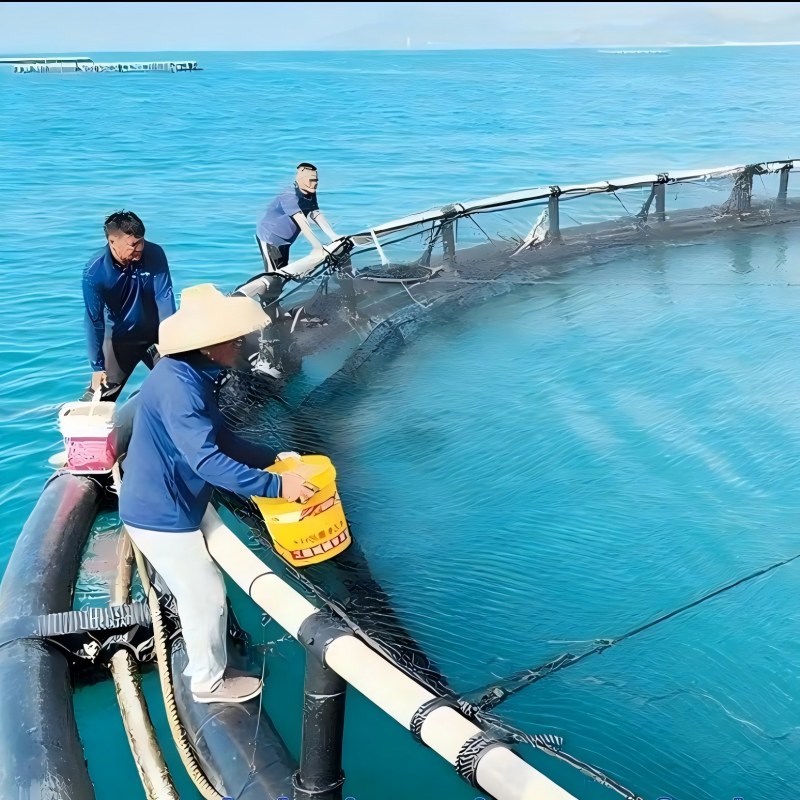 Pompa yang Direkomendasikan untuk Industri Akuakultur